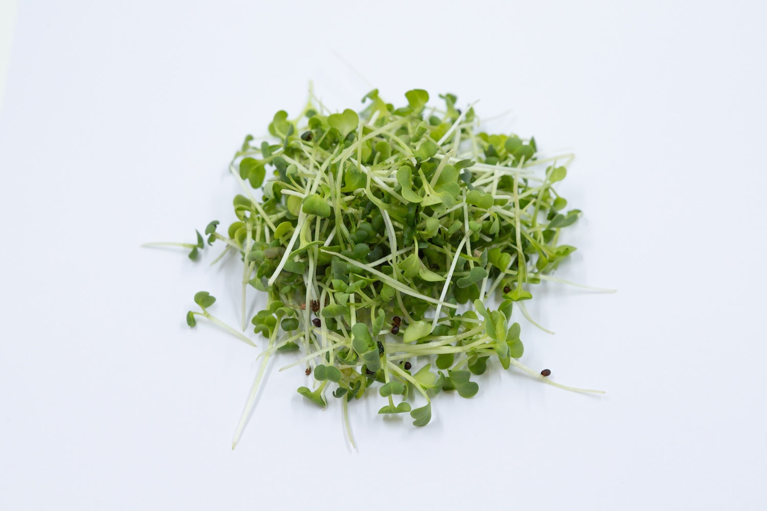 Pak Choy Microgreens (10g)