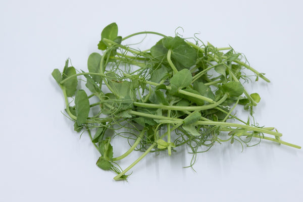 Pea Tendrils Microgreens (10g)
